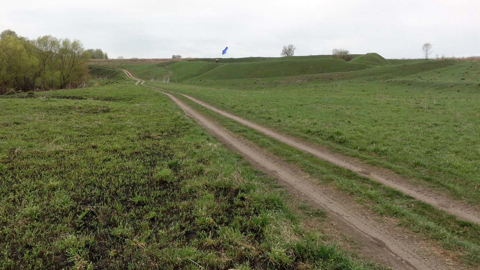 Новое городище новый оскол. Городище Новоникольское Омская область. Новое село-2. Шатск Борки фото.